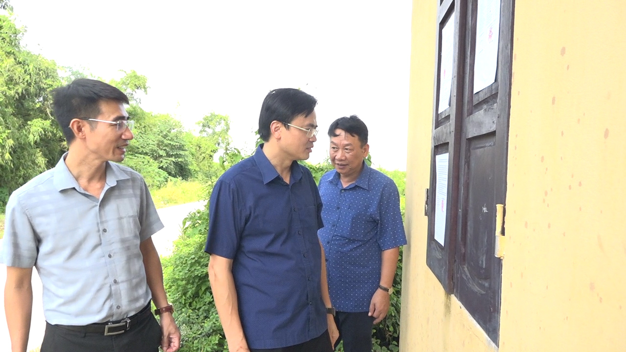 anh tin bai